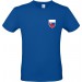color:royal blue