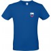 color:royal blue