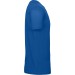 color:royal blue