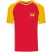 color:red/yellow